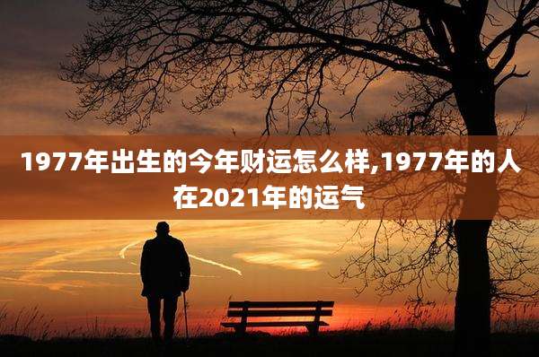 1977年出生的今年财运怎么样,1977年的人在2021年的运气