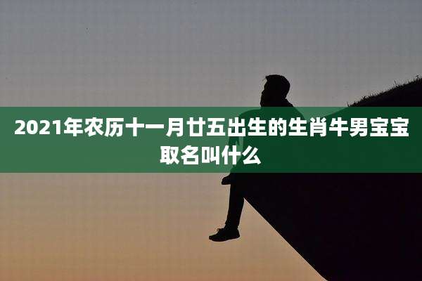 2021年农历十一月廿五出生的生肖牛男宝宝取名叫什么