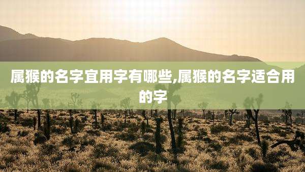 属猴的名字宜用字有哪些,属猴的名字适合用的字