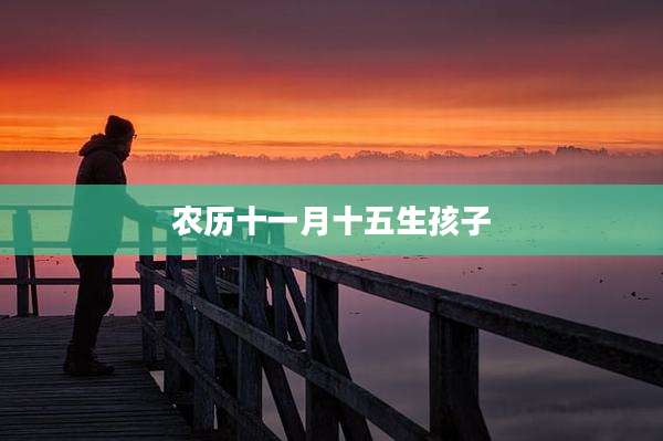 农历十一月十五生孩子