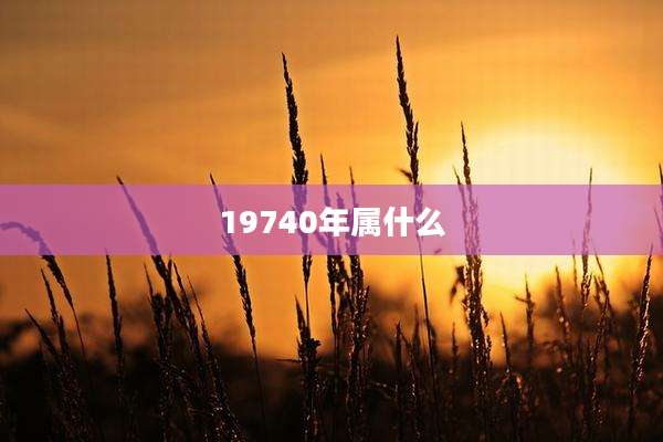 19740年属什么