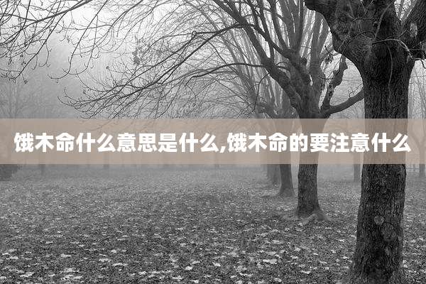 饿木命什么意思是什么,饿木命的要注意什么