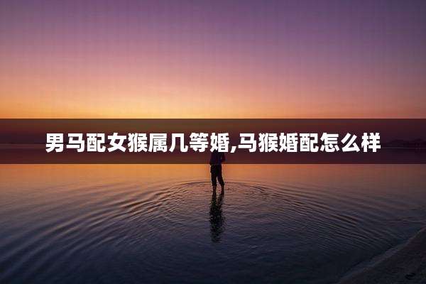 男马配女猴属几等婚,马猴婚配怎么样