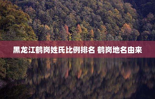 黑龙江鹤岗姓氏比例排名 鹤岗地名由来