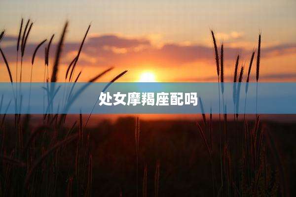 处女摩羯座配吗