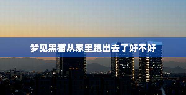 梦见黑猫从家里跑出去了好不好