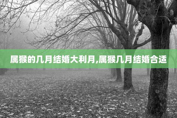属猴的几月结婚大利月,属猴几月结婚合适