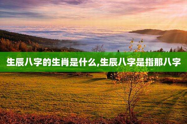 生辰八字的生肖是什么,生辰八字是指那八字