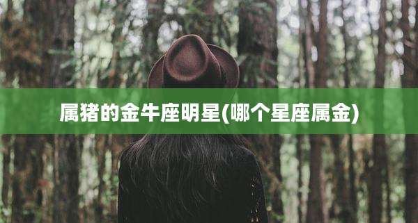 属猪的金牛座明星(哪个星座属金)