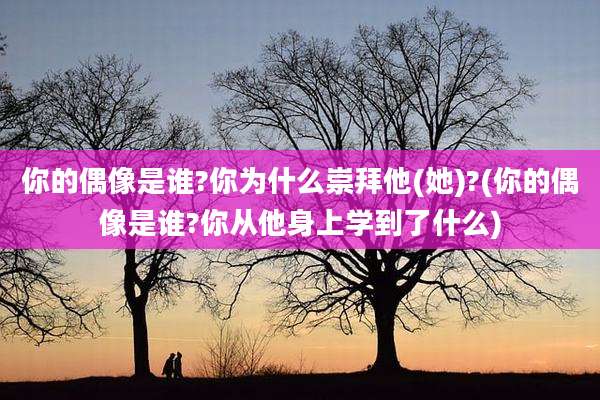 你的偶像是谁?你为什么崇拜他(她)?(你的偶像是谁?你从他身上学到了什么)
