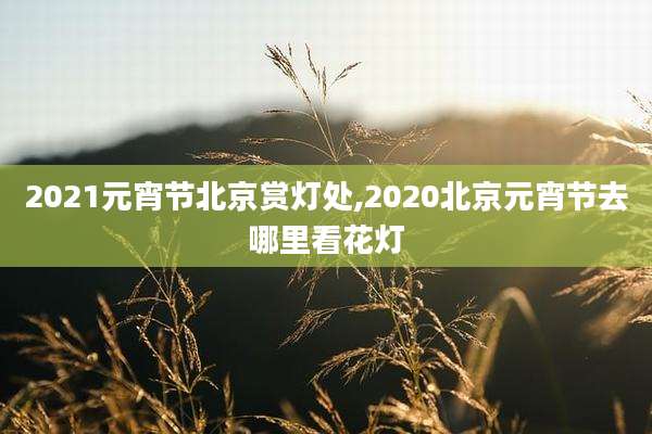 2021元宵节北京赏灯处,2020北京元宵节去哪里看花灯