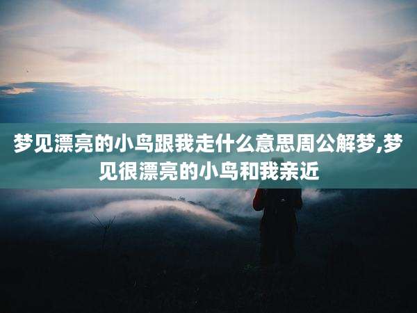 梦见漂亮的小鸟跟我走什么意思周公解梦,梦见很漂亮的小鸟和我亲近