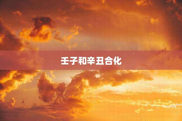 壬子和辛丑合化