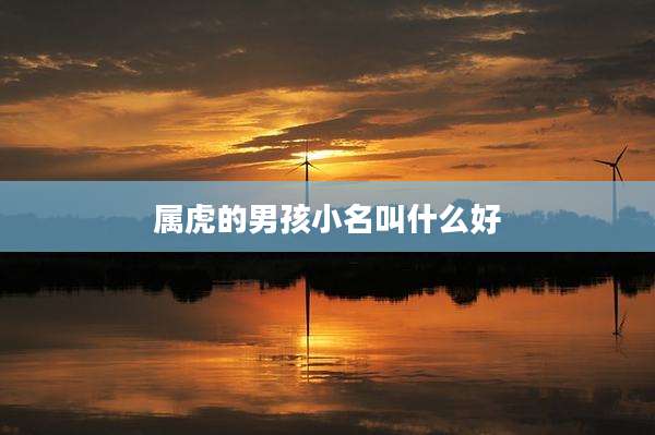 属虎的男孩小名叫什么好