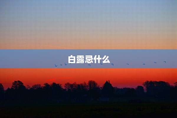 白露忌什么