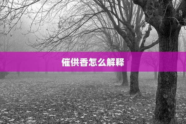 催供香怎么解释
