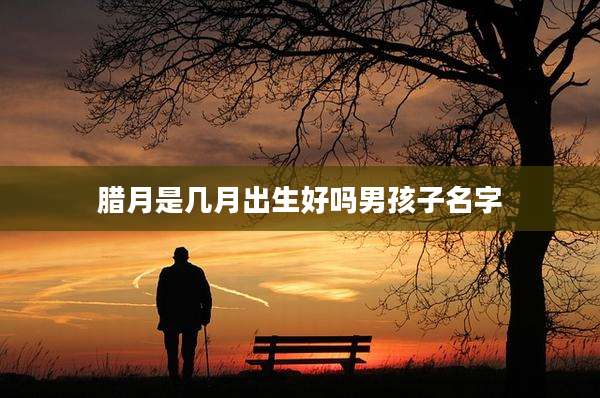 腊月是几月出生好吗男孩子名字
