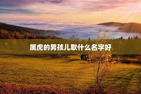 属虎的男孩儿取什么名字好