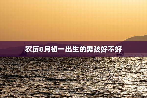 农历8月初一出生的男孩好不好