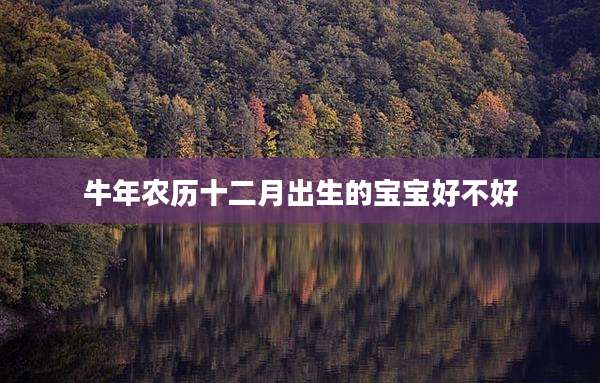 牛年农历十二月出生的宝宝好不好