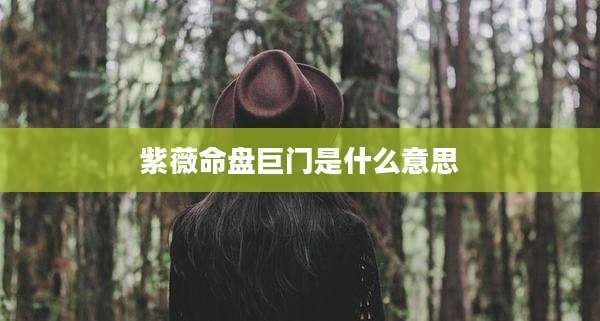 紫薇命盘巨门是什么意思