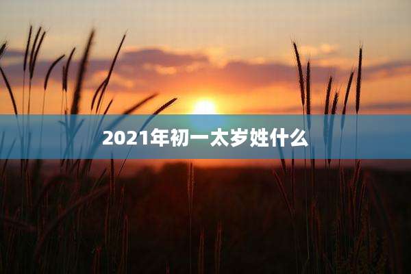 2021年初一太岁姓什么