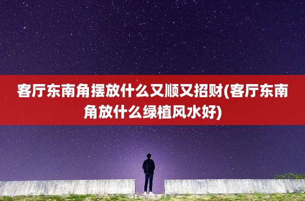 客厅东南角摆放什么又顺又招财(客厅东南角放什么绿植风水好)