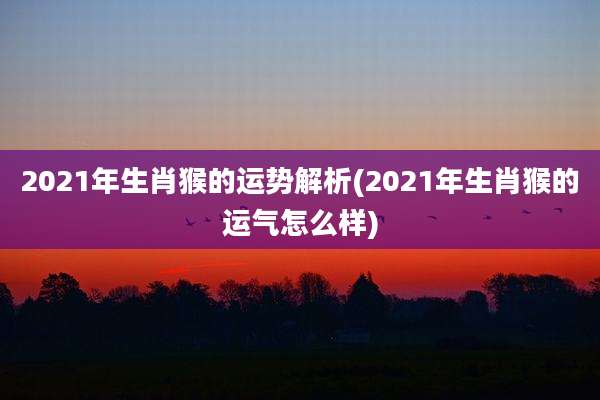 2021年生肖猴的运势解析(2021年生肖猴的运气怎么样)