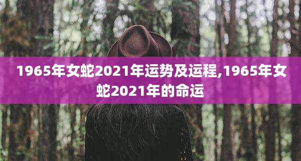 1965年女蛇2021年运势及运程,1965年女蛇2021年的命运