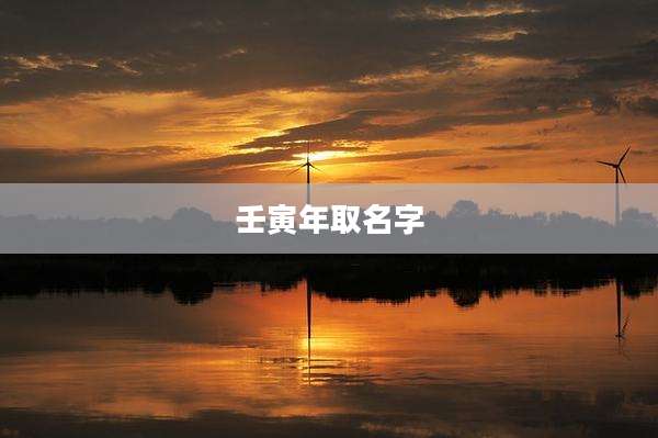 壬寅年取名字