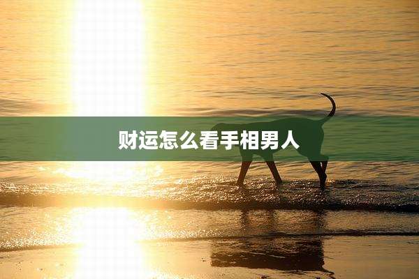 财运怎么看手相男人