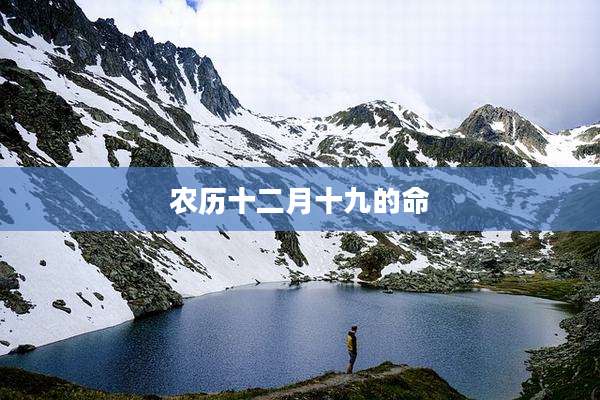 农历十二月十九的命