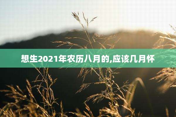 想生2021年农历八月的,应该几月怀