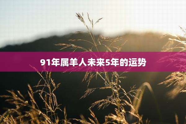 91年属羊人未来5年的运势