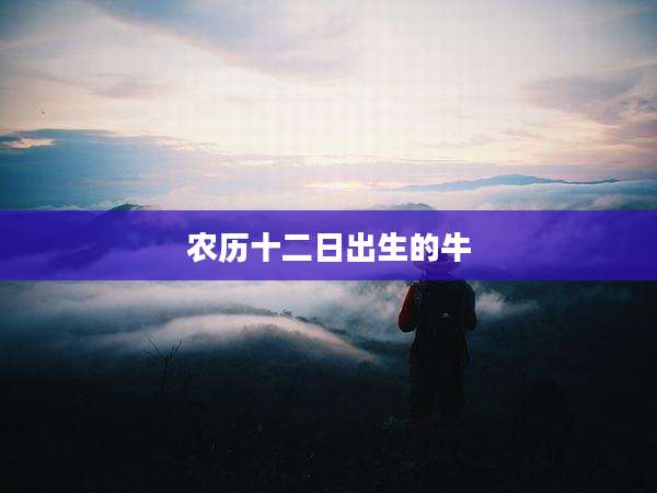 农历十二日出生的牛