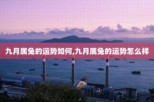 九月属兔的运势如何,九月属兔的运势怎么样