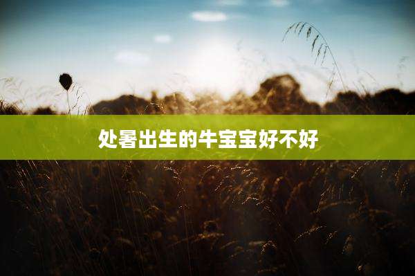 处暑出生的牛宝宝好不好