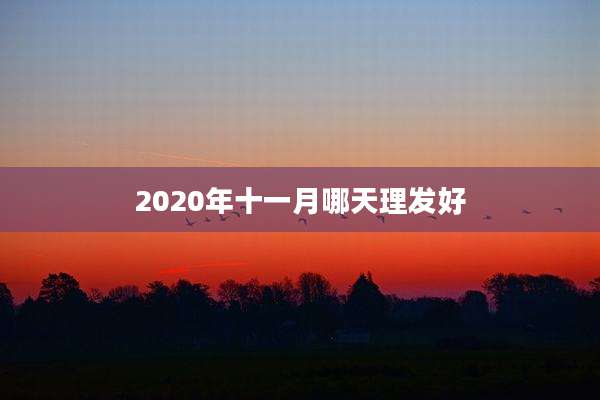 2020年十一月哪天理发好