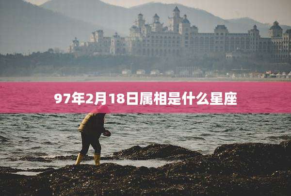97年2月18日属相是什么星座