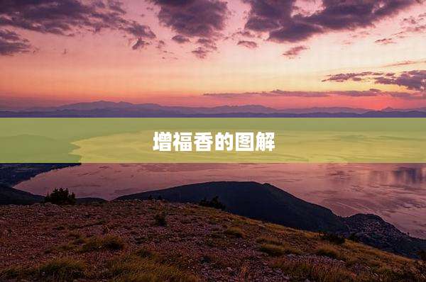 增福香的图解