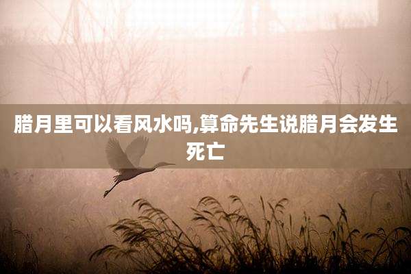 腊月里可以看风水吗,算命先生说腊月会发生死亡