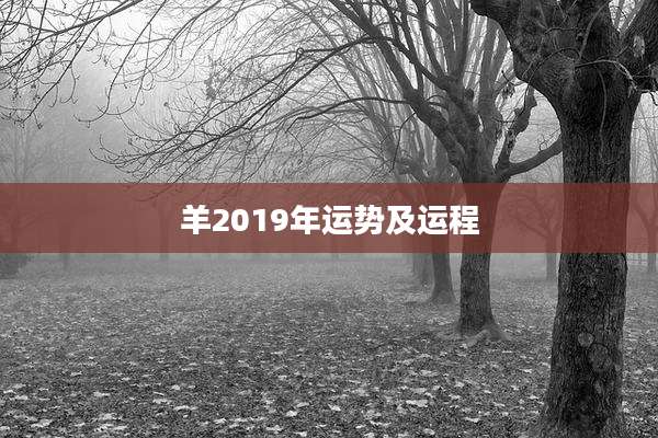 羊2019年运势及运程