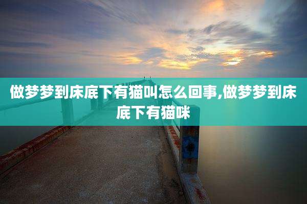 做梦梦到床底下有猫叫怎么回事,做梦梦到床底下有猫咪