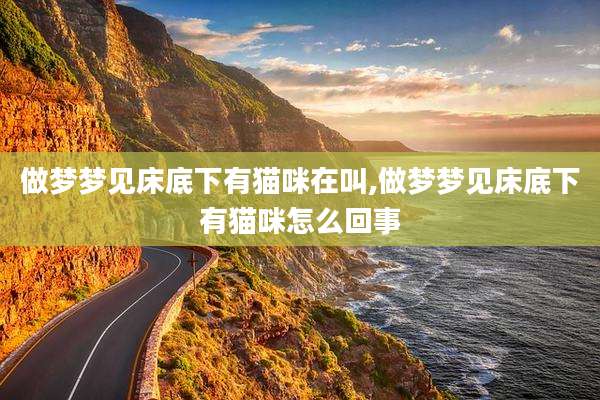 做梦梦见床底下有猫咪在叫,做梦梦见床底下有猫咪怎么回事