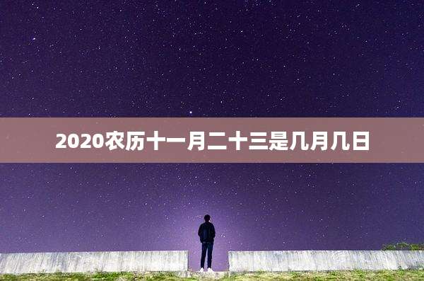 2020农历十一月二十三是几月几日
