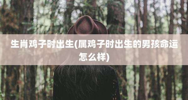 生肖鸡子时出生(属鸡子时出生的男孩命运怎么样)