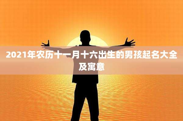 2021年农历十一月十六出生的男孩起名大全及寓意