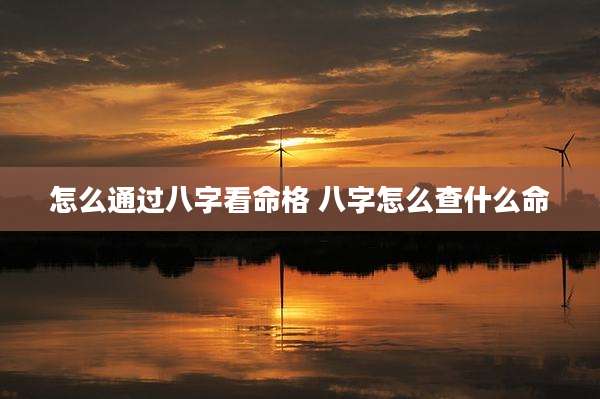 怎么通过八字看命格 八字怎么查什么命