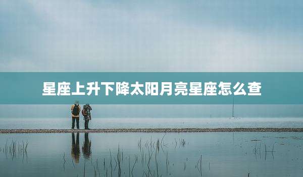 星座上升下降太阳月亮星座怎么查