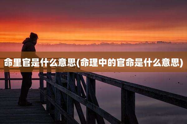 命里官是什么意思(命理中的官命是什么意思)
